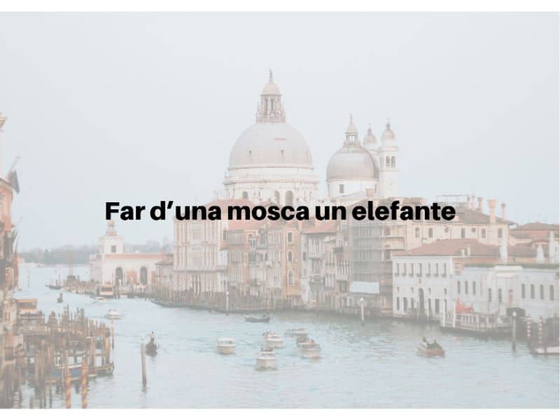 Far d’una mosca un elefante Italian Proverbs