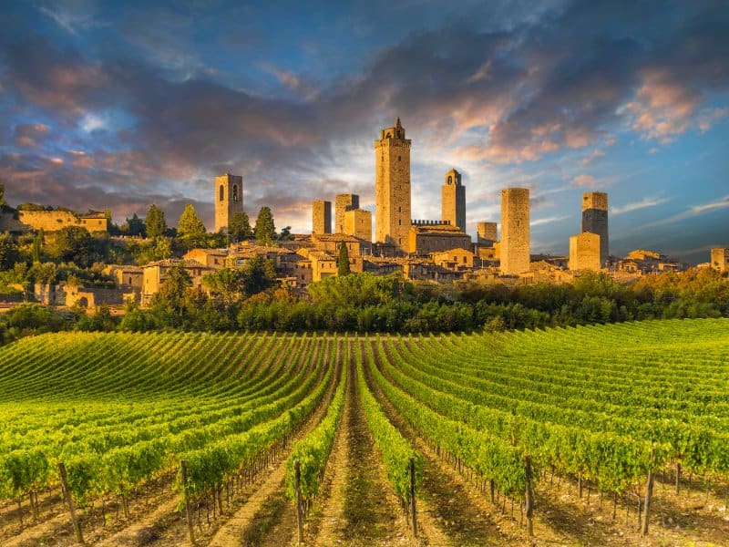 View of vineyard of San Gimignano