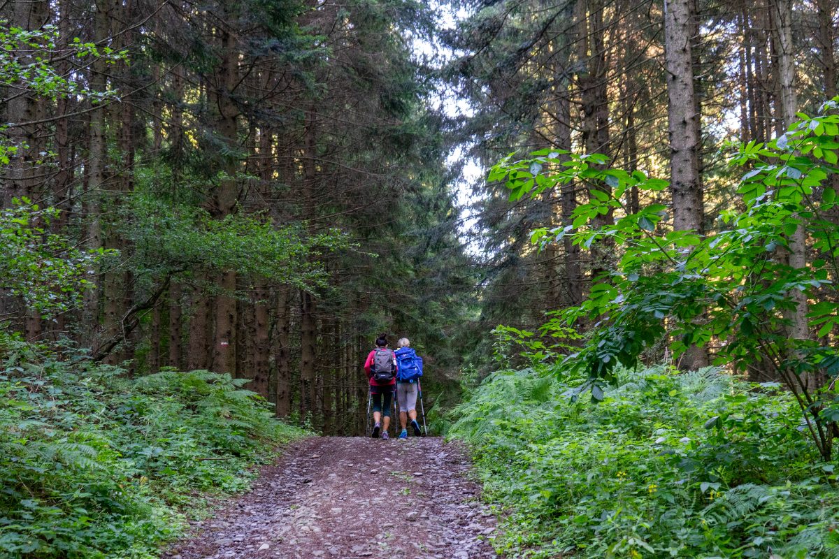 Two hikers hiking on a trail on the Path of Gods at Bologna, Emilia Romagna, Italy