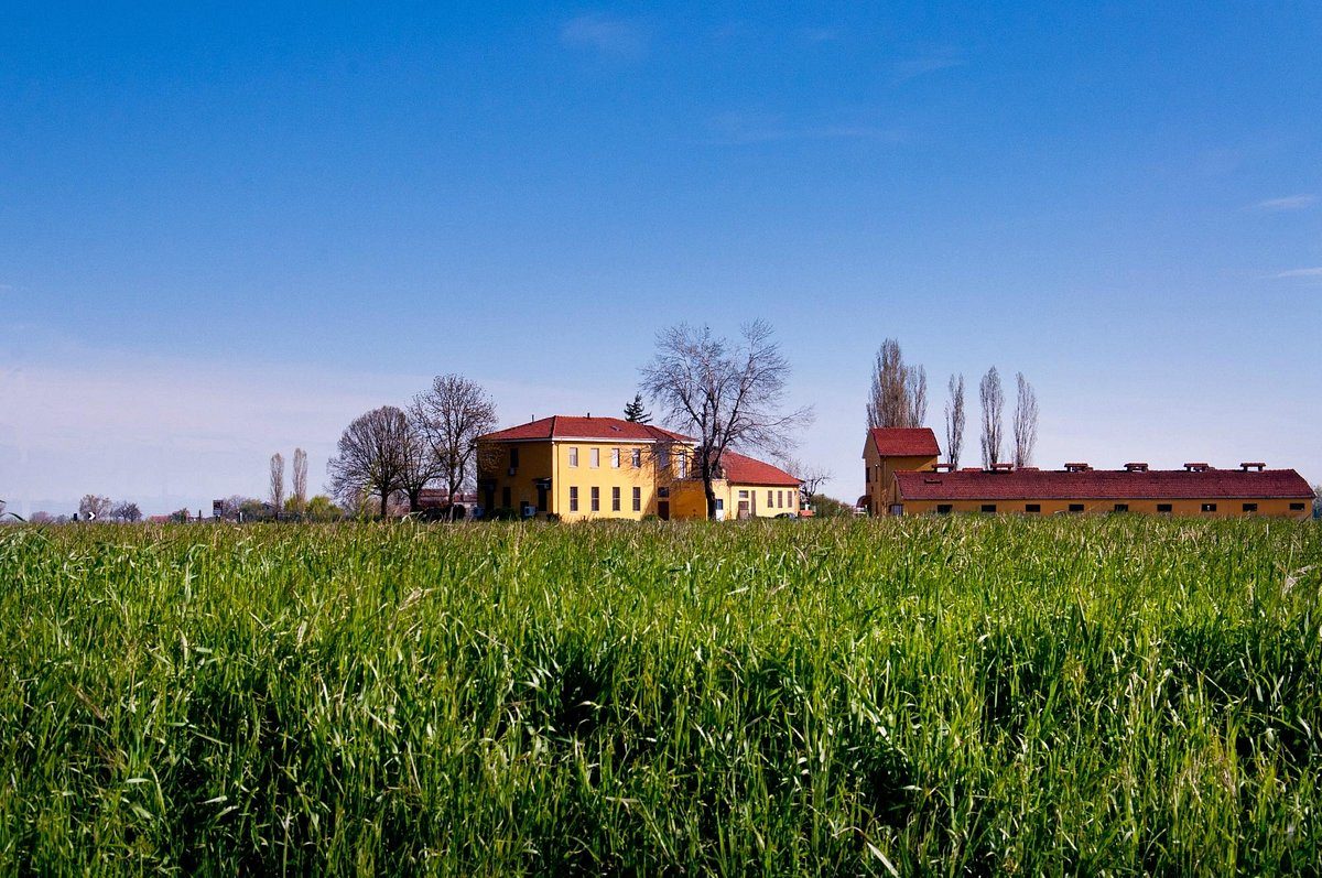 Caseificio San Pier Damiani Farm and building establishment in Parma, Italy