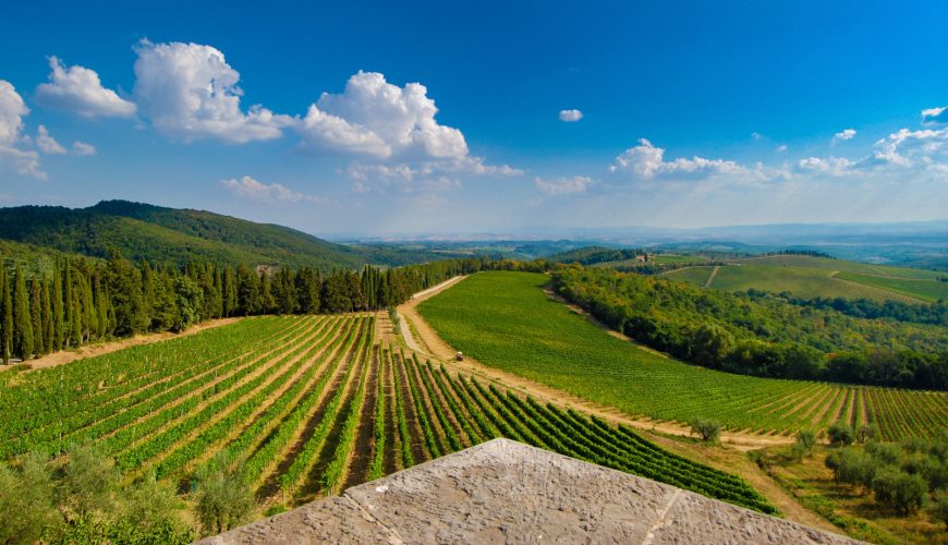 Panoramic view of Chianti Valley Vineyards in Siena, Tuscany, Italy