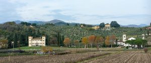 Rustic farmhouses nestled amidst the idyllic countryside of Tuscany, Italy, surrounded by rolling hills, vineyards, and cypress trees under a clear blue sky.