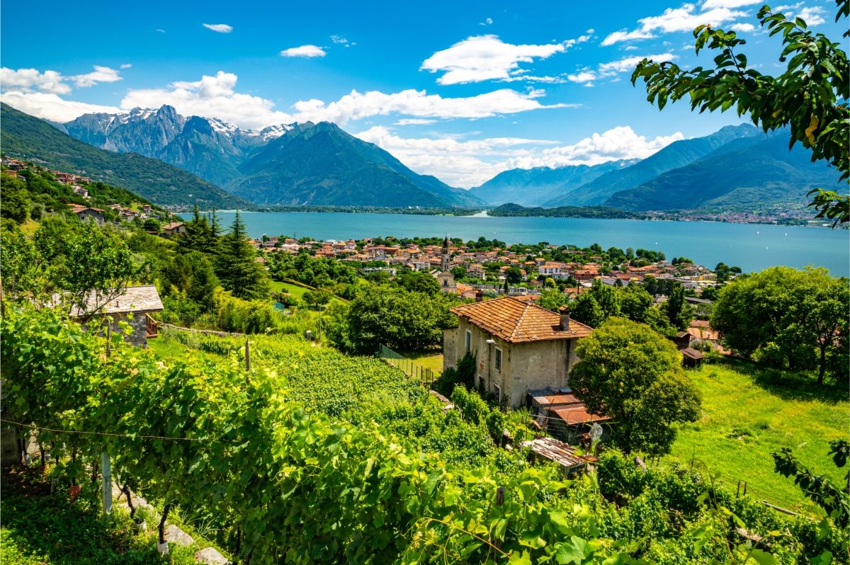 Panoramic view of the vineyards at the Domaso and Lake Como in Italy