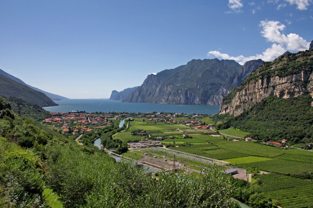 Aerial view of the vineyards of Lake Garda in Trentino, Italy