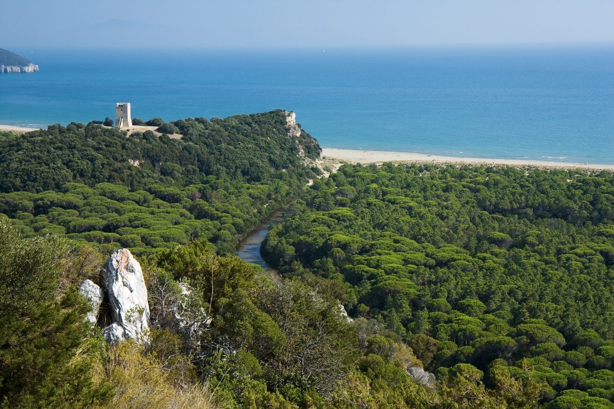 Panoramic view of Parco della Maremma, showcasing the stunning Maremma Coast