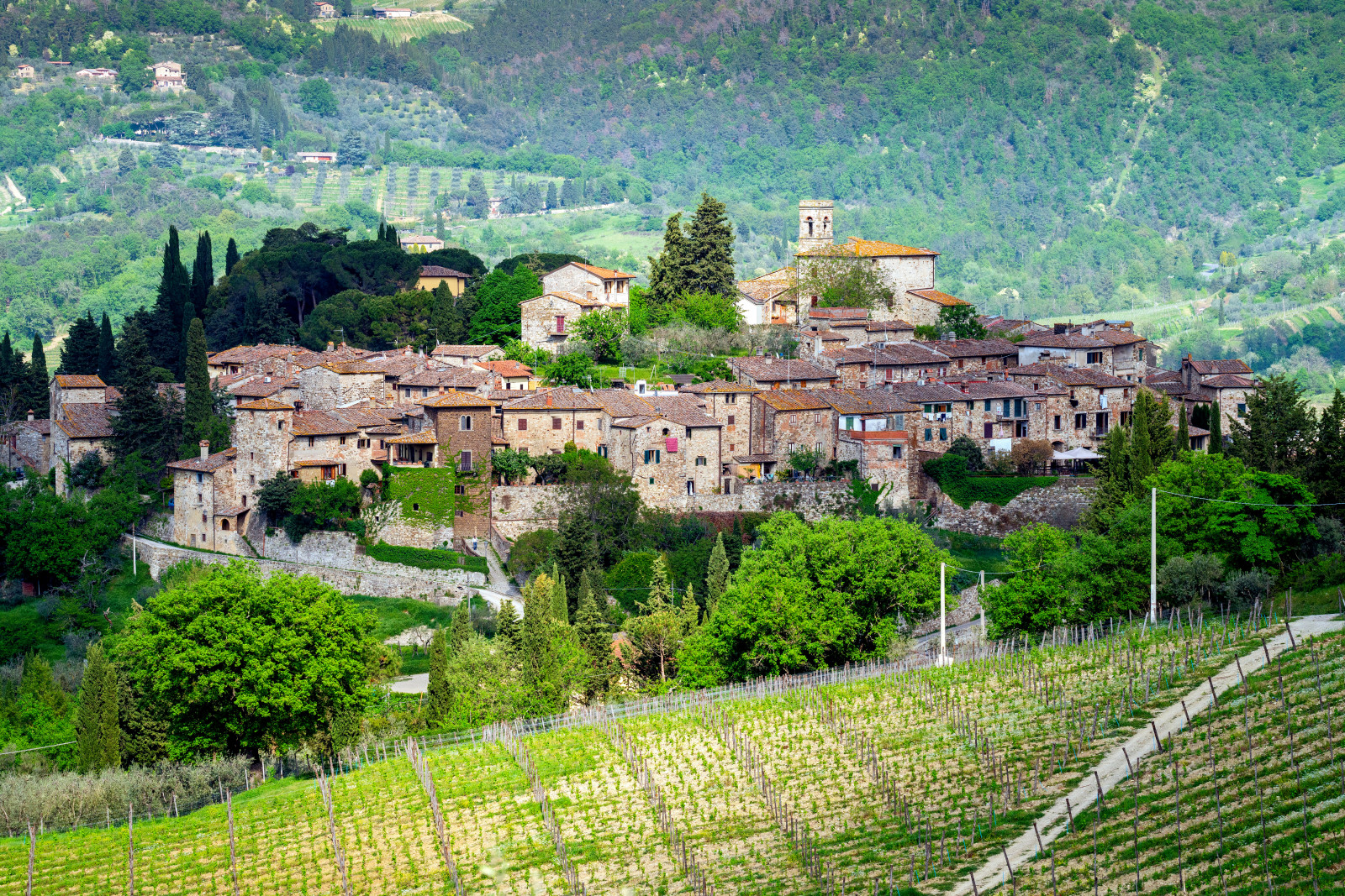 Panoramic view of the Montefioralle and vineyards in Tuscany, Italy