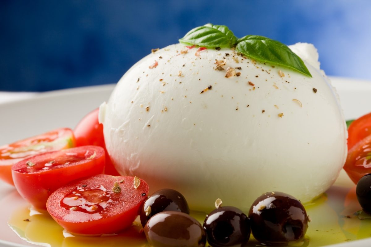 Close-up of the Mozzarella di Bufala with tomatoes and olive son the side