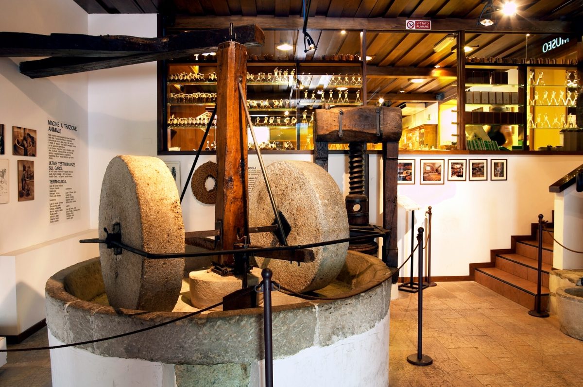 Interior and exhibit of the Museo dell'Olio in Cisano