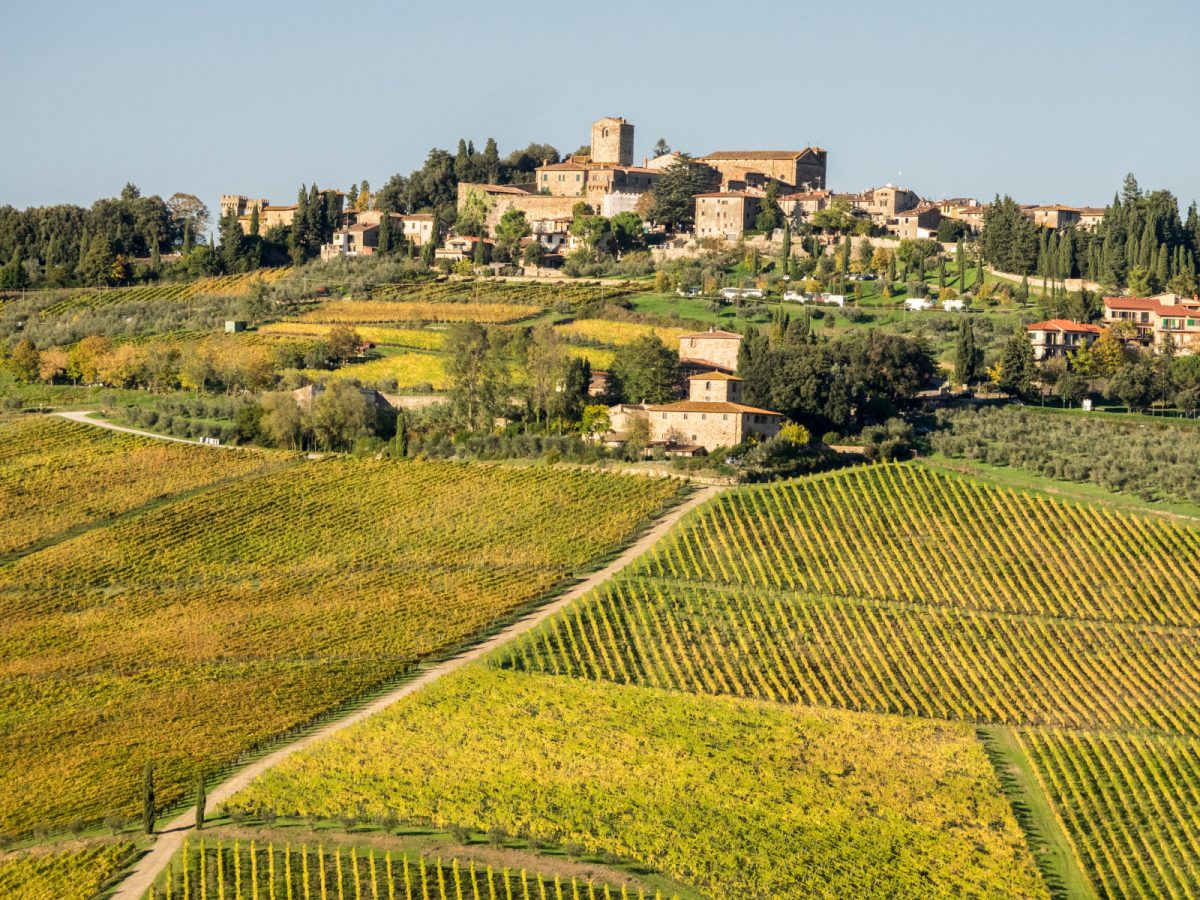 Aerial view of the Panzano  town and vineyards in Chianti, Tuscany, Italy