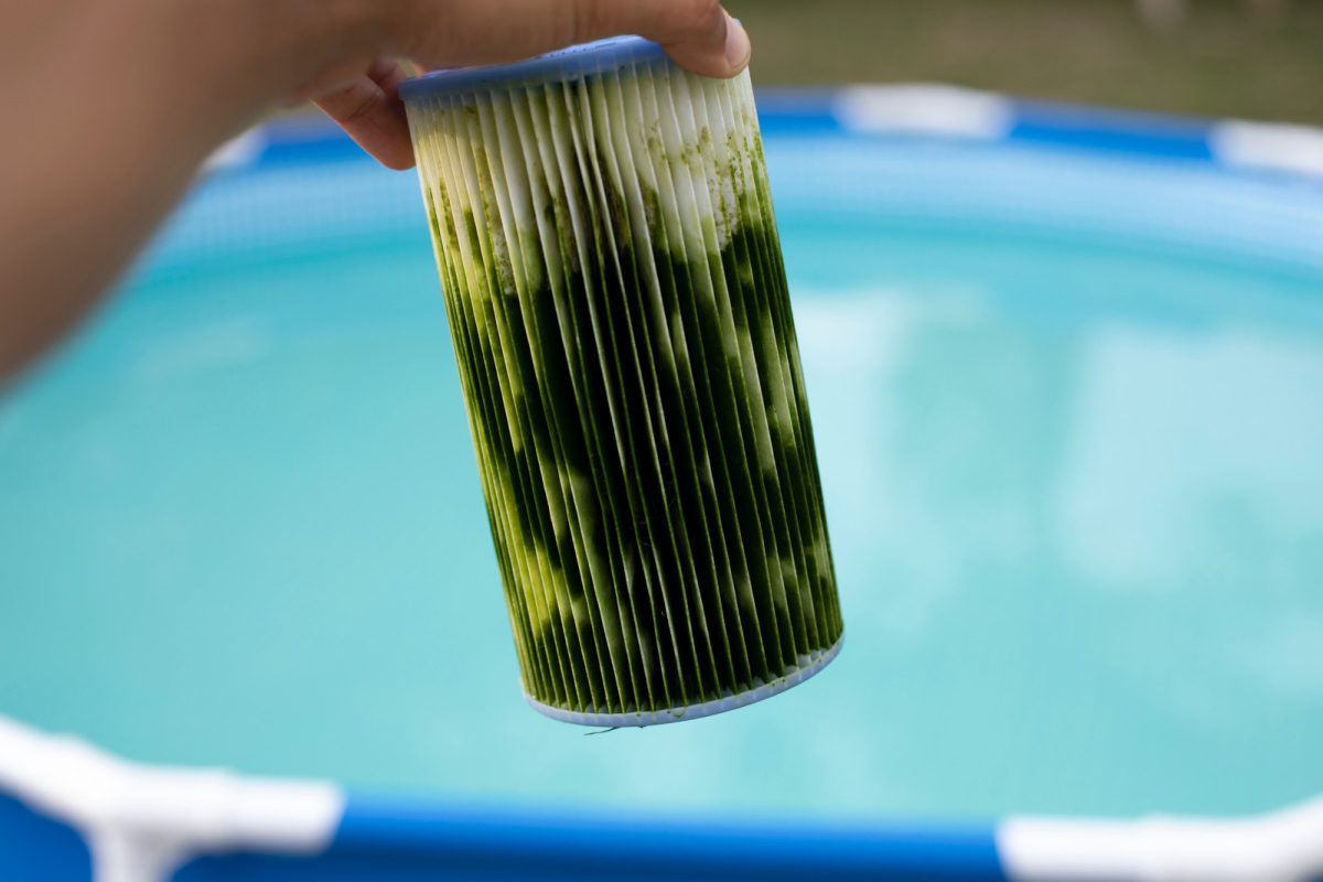 Hand holding a dirty pool water filter