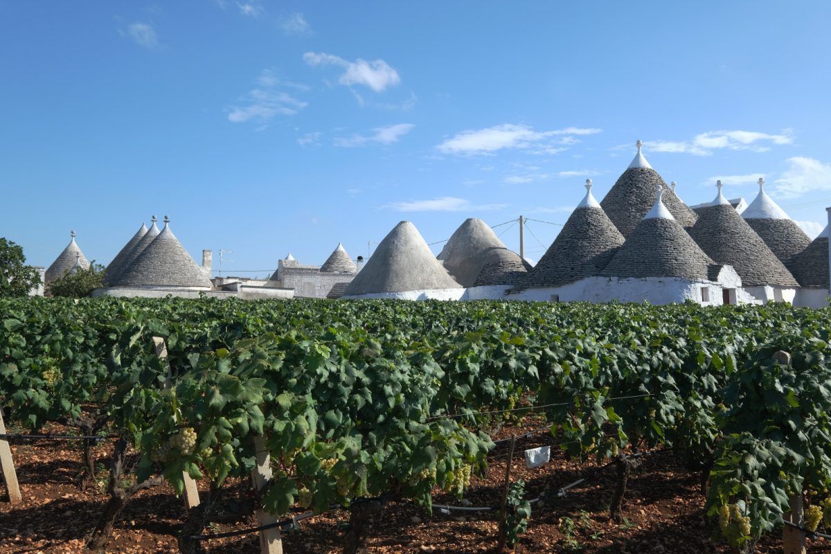 Trulli houses and vineyards in Puglia, Italy