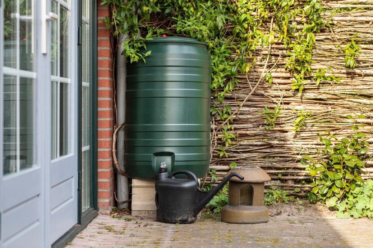 Color green rainwater collection barrel