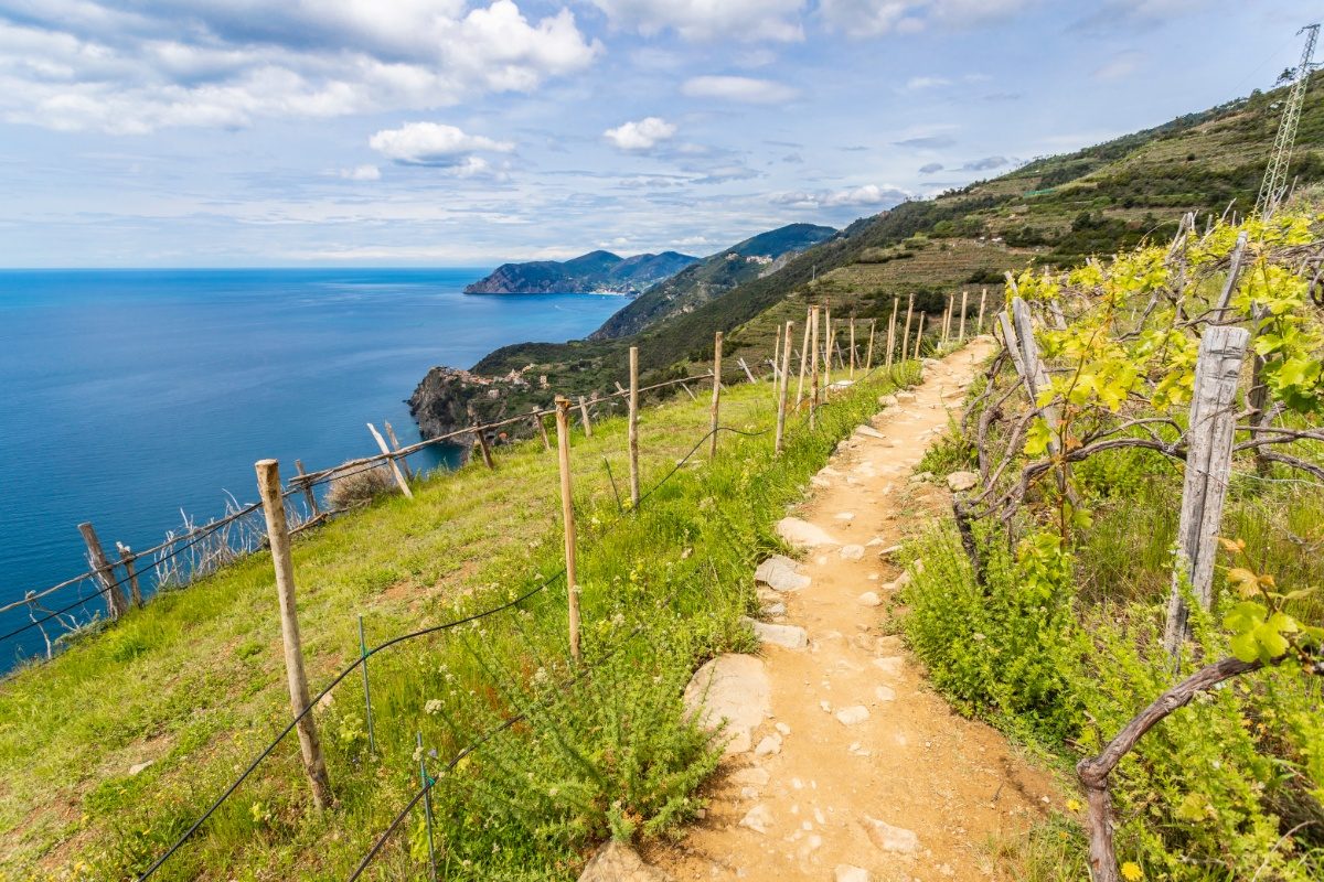 Panoramic view of the Sentiero Azzurro thiking trail in Cinque Terre, Liguria, Italy