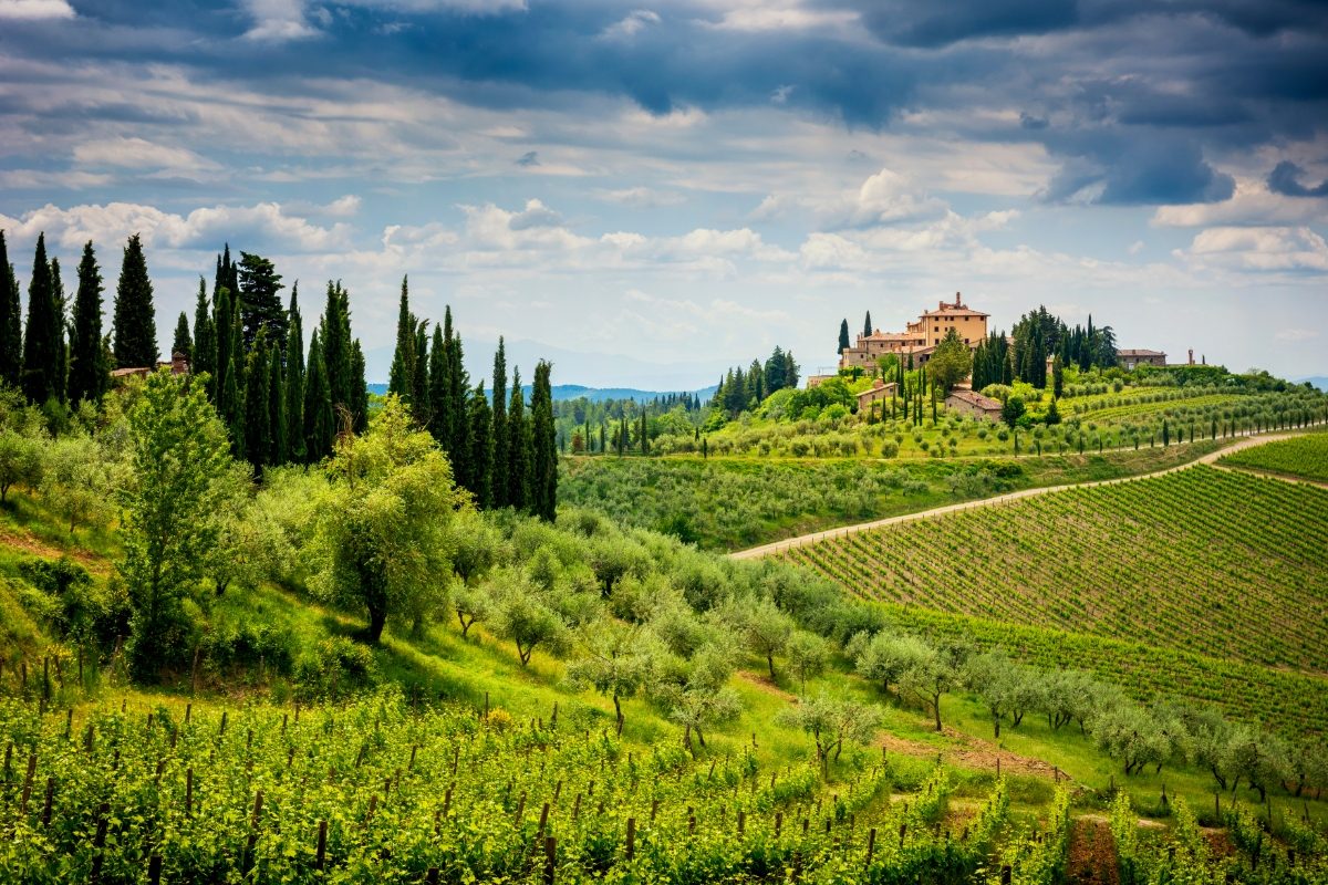 Tuscan vineyards and Chianti hills in Siena and Florence, Italy