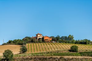 Panoramic view of vineyards and hilltop villa in Tuscany, Italy