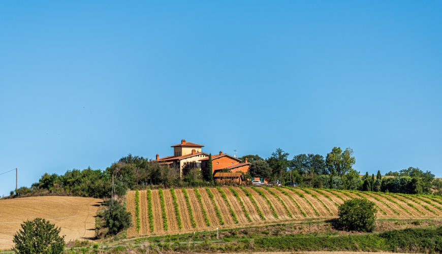 Panoramic view of vineyards and hilltop villa in Tuscany, Italy