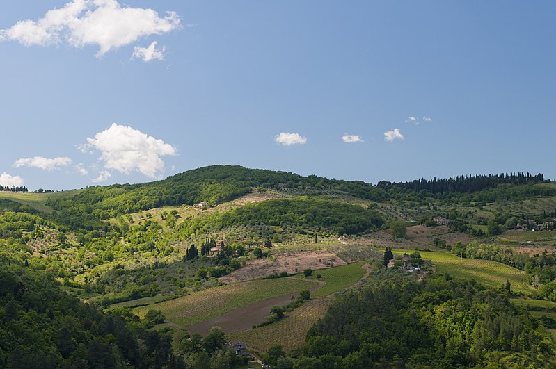 A stunning panoramic view of the picturesque countryside of Tuscany, Italy, featuring rolling hills, vineyards, and cypress trees under a clear blue sky.