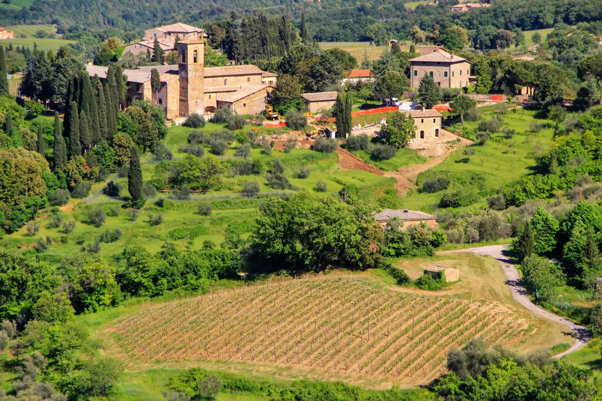 Aerial view of Val d'Orcia Tuscany, Italy countryside