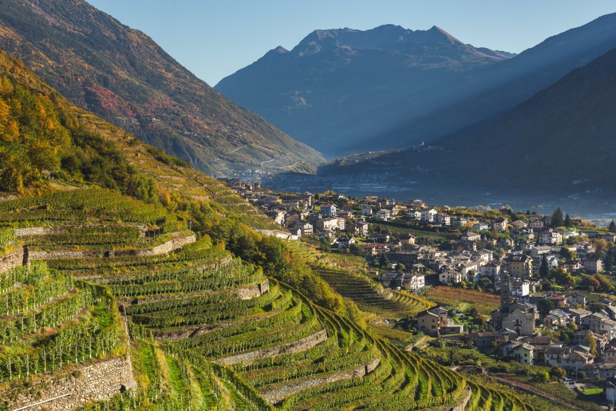 Panoramic view of the Valtellina Italian Alps in Italy